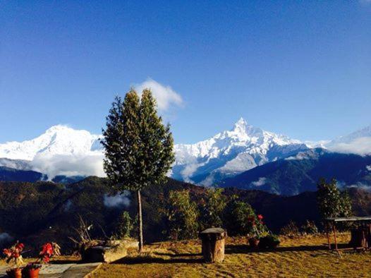 Himalayan Deurali Resort Pokhara Esterno foto